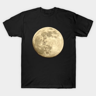 Full moon night sky the moon T-Shirt